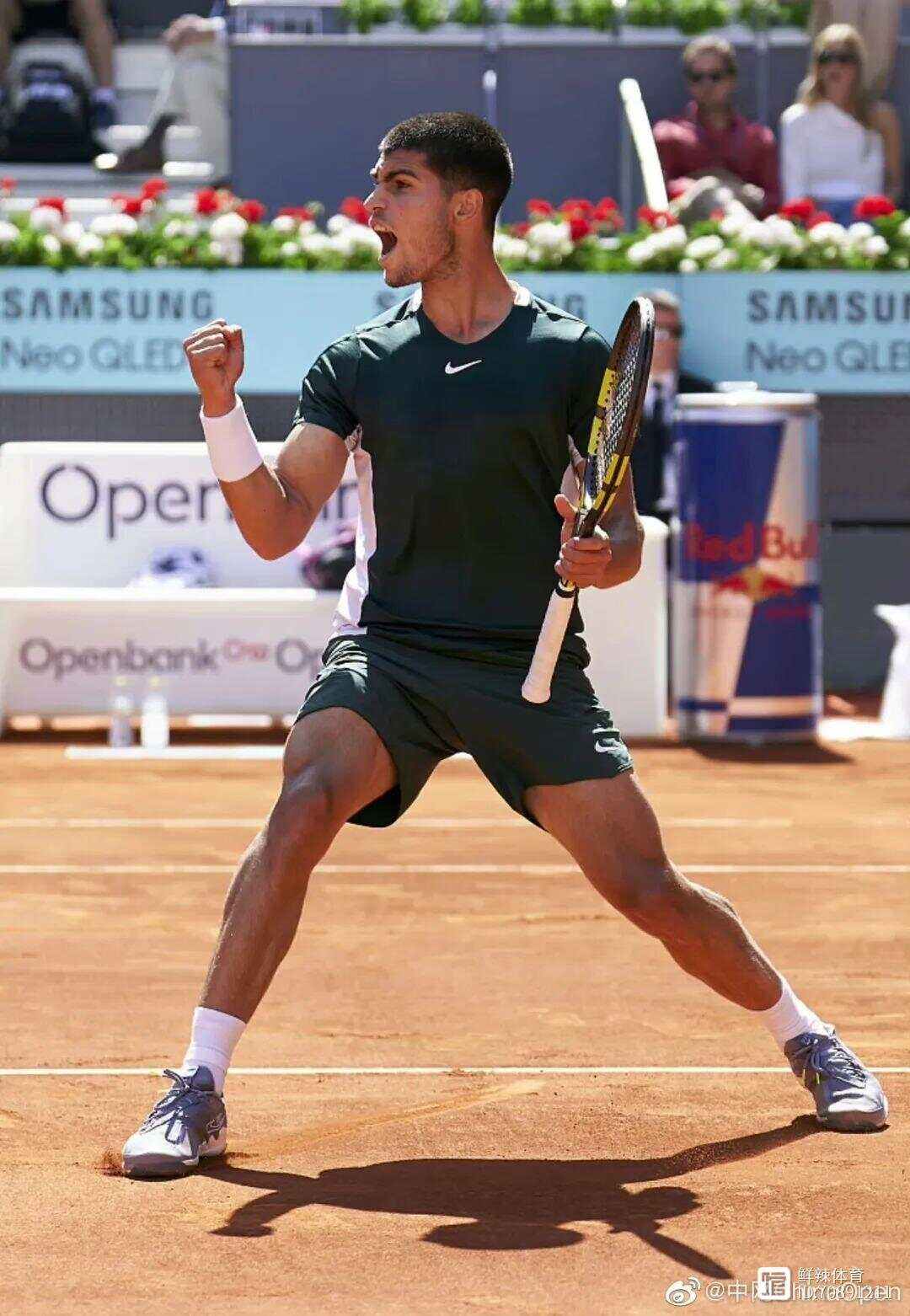 关于匈牙利男篮全神贯注，力挫强手晋级的信息